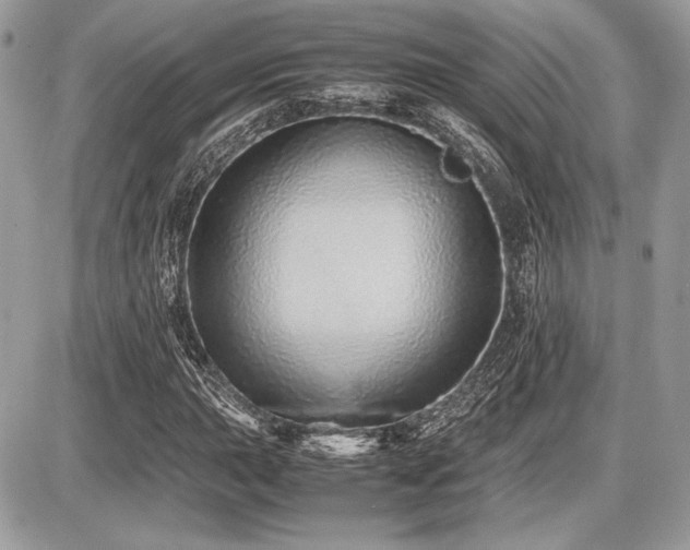 X0000087691015200705041032