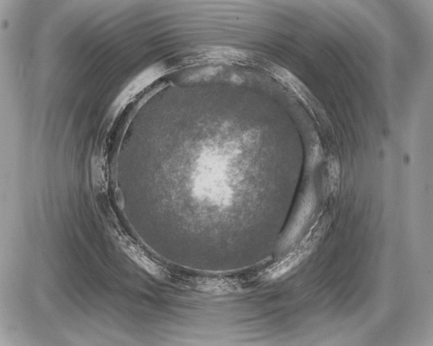 X0000087691018200705041032