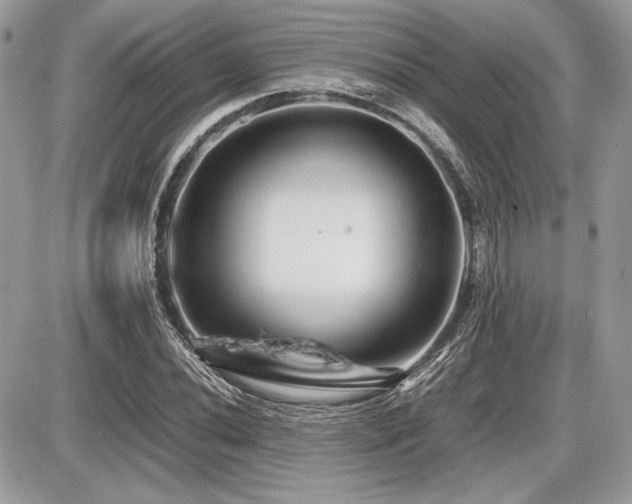 X0000087691020200705041032