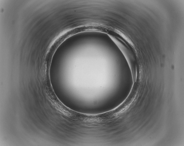 X0000087691021200705041032