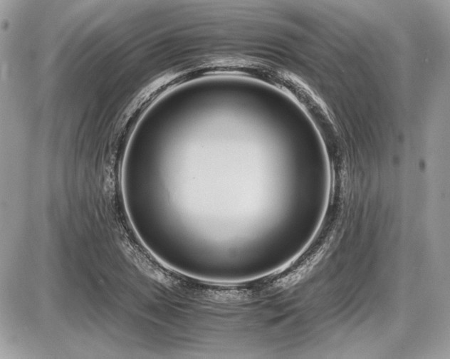 X0000087691025200705041032