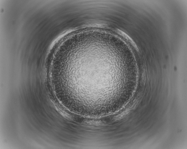 X0000087691027200705041032