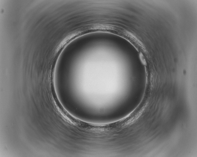 X0000087691033200705041032