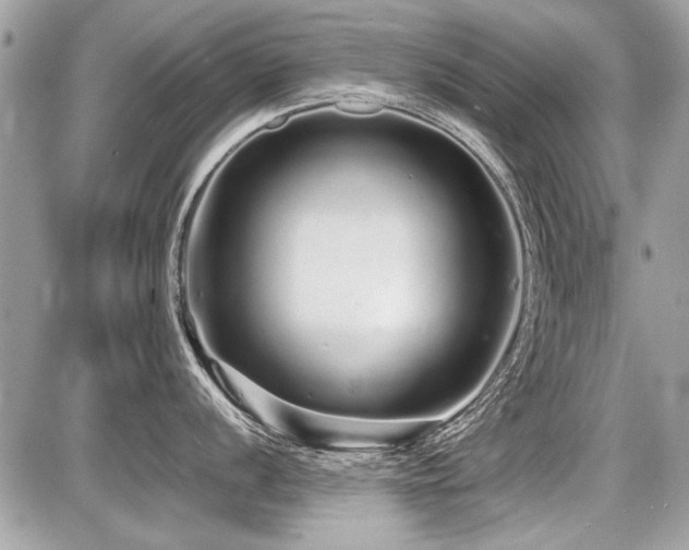 X0000087691056200705041033