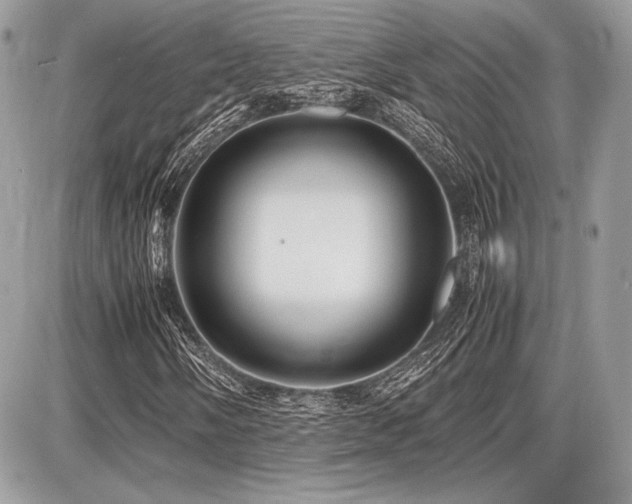 X0000087691058200705041032
