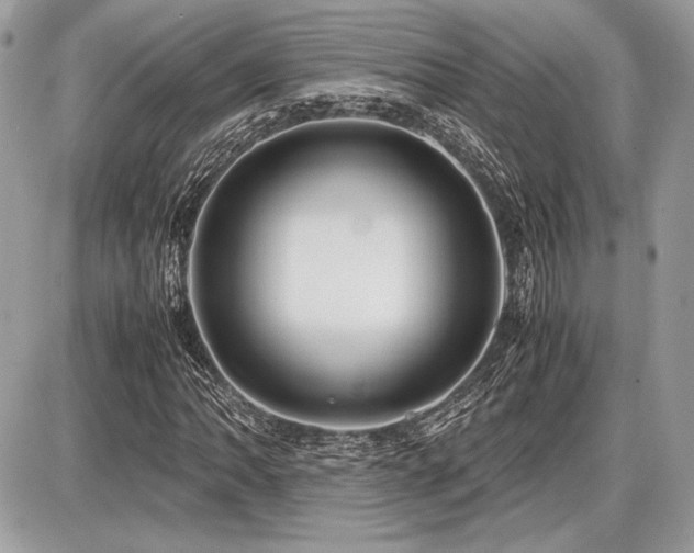 X0000087691062200705041032