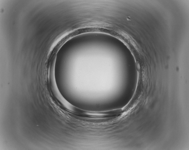 X0000087691069200705041032