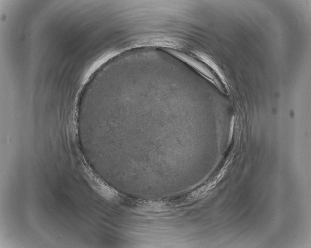 X0000087691071200705041032