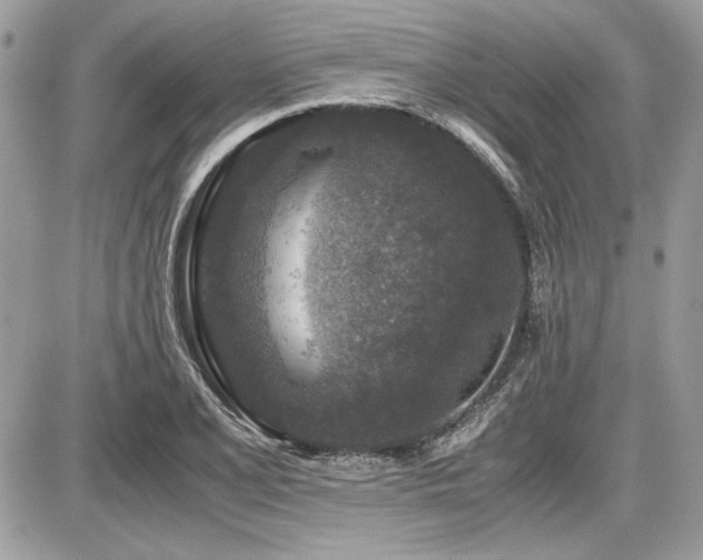 X0000087691077200705041032