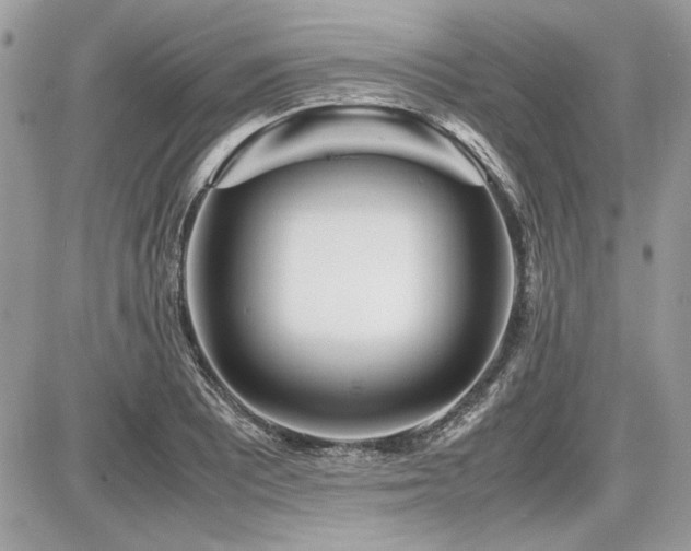 X0000087691081200705041032