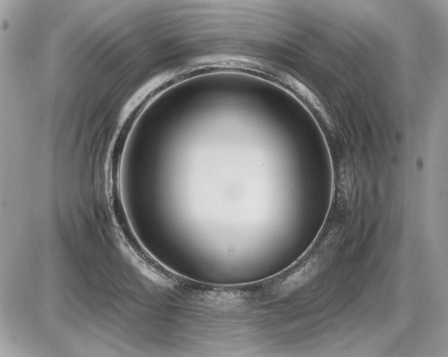 X0000087691082200705041032