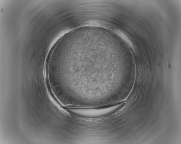X0000087691084200705041032