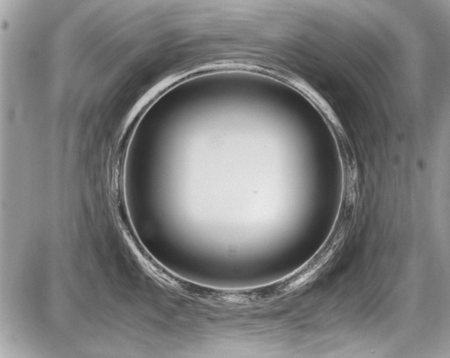 X0000087691101200705041031