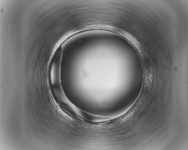 X0000087691102200705041031