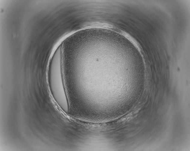 X0000087691104200705041031