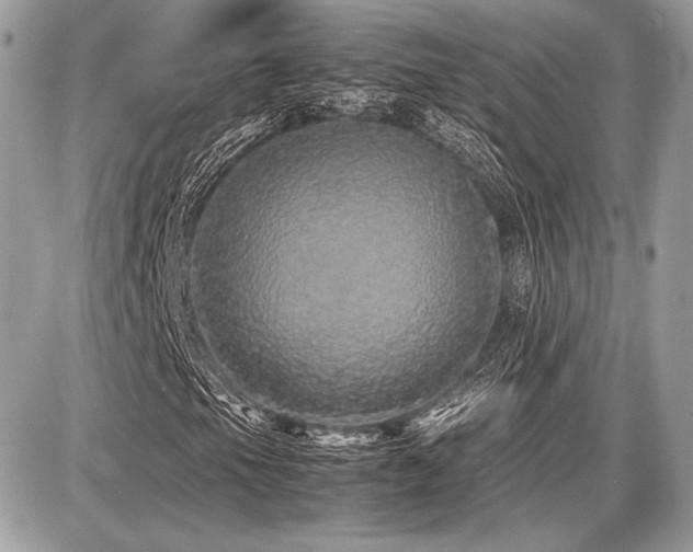X0000087691105200705041031