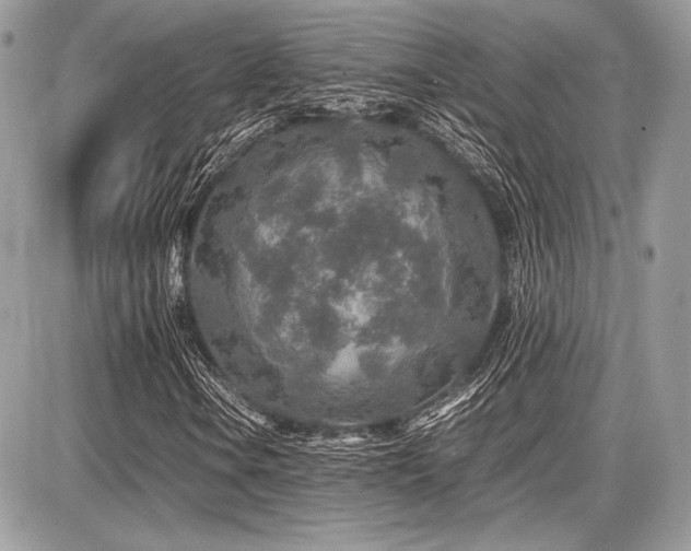 X0000087691106200705041031