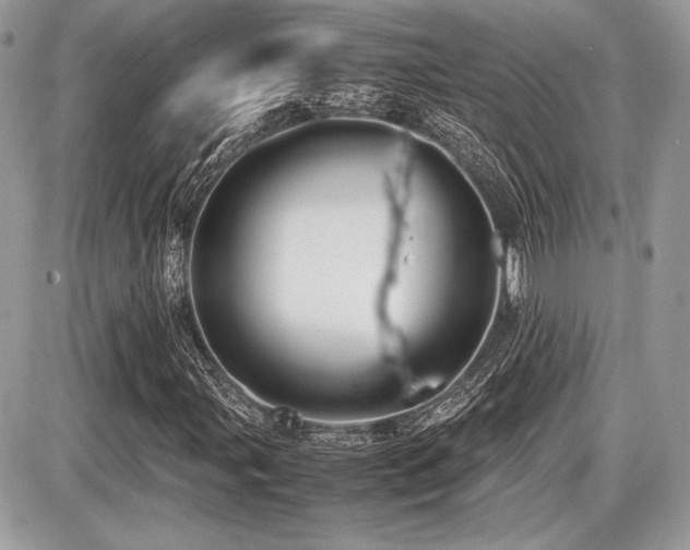 X0000087691107200705041031