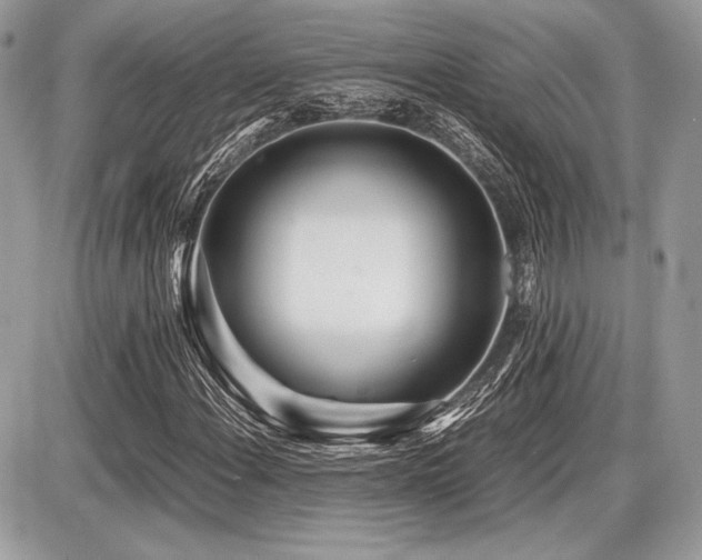 X0000087691108200705041031