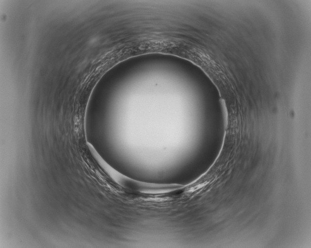 X0000087691109200705041031