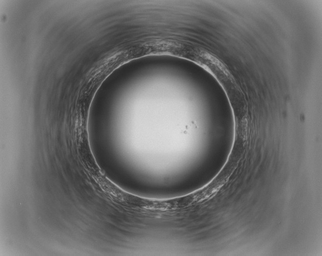 X0000087691111200705041031