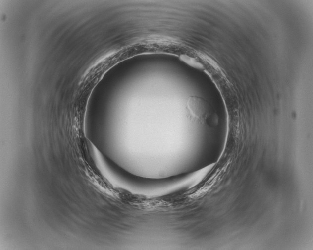 X0000087691112200705041031