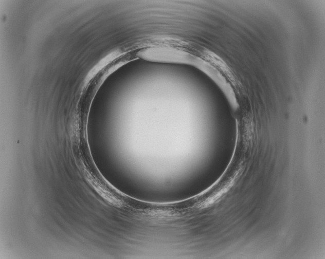 X0000087691114200705041031