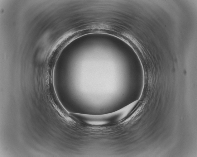 X0000087691115200705041031