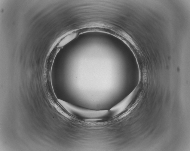 X0000087691116200705041031