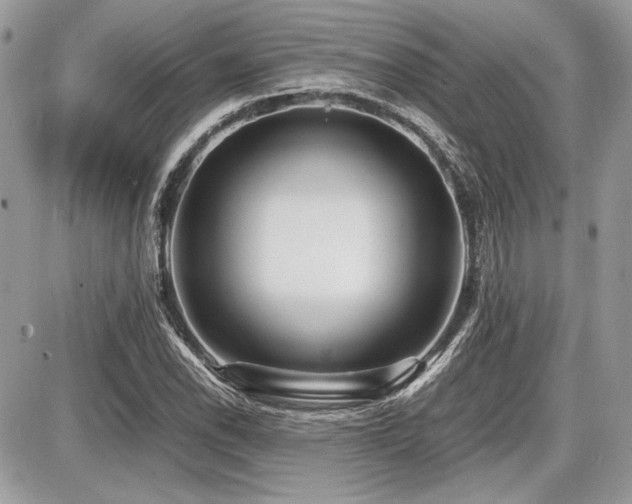 X0000087691118200705041031