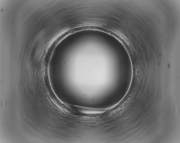 X0000087691119200705041031