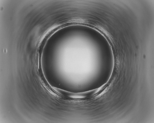X0000087691123200705041031