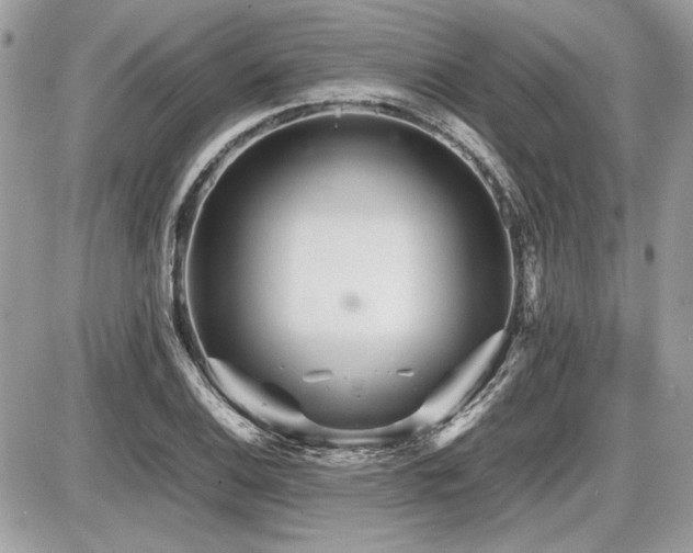 X0000087691124200705041031