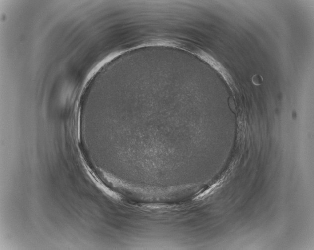 X0000087691127200705041031