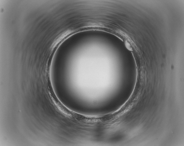 X0000087691129200705041031