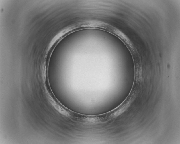 X0000087691130200705041031