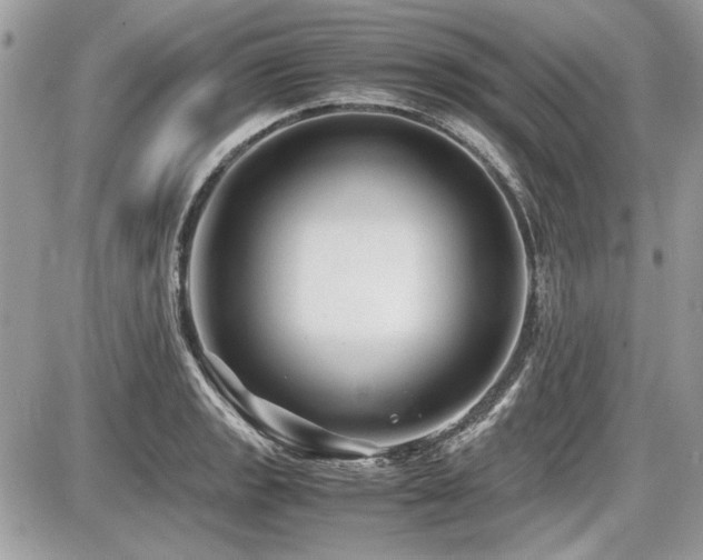 X0000087691133200705041031