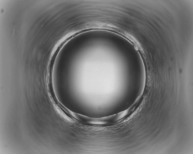 X0000087691136200705041031