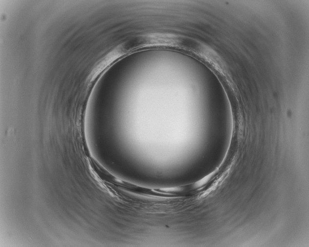 X0000087691137200705041031