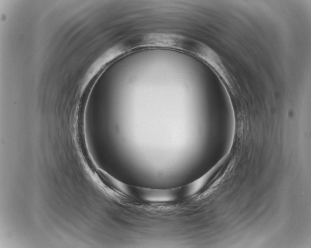 X0000087691139200705041031