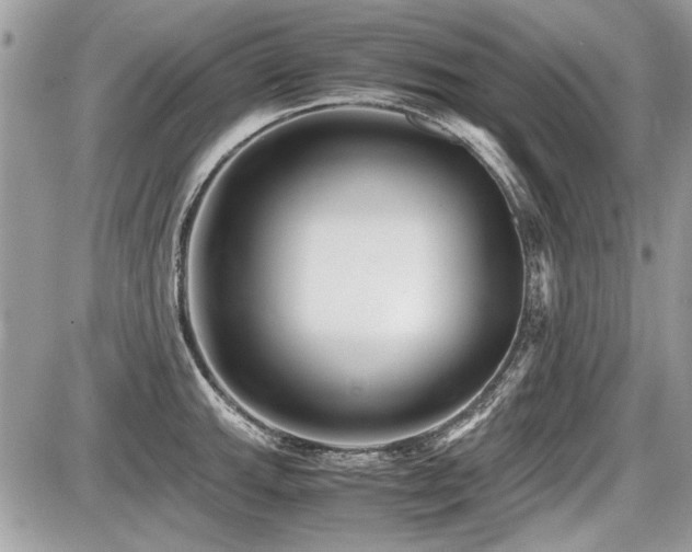 X0000087691143200705041031