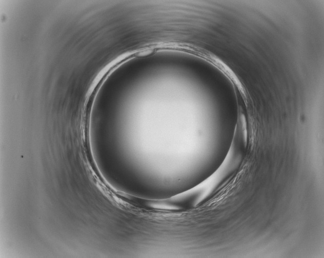 X0000087691148200705041031