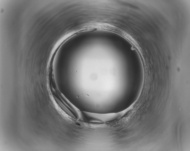 X0000087691152200705041031