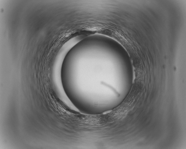 X0000087691153200705041031