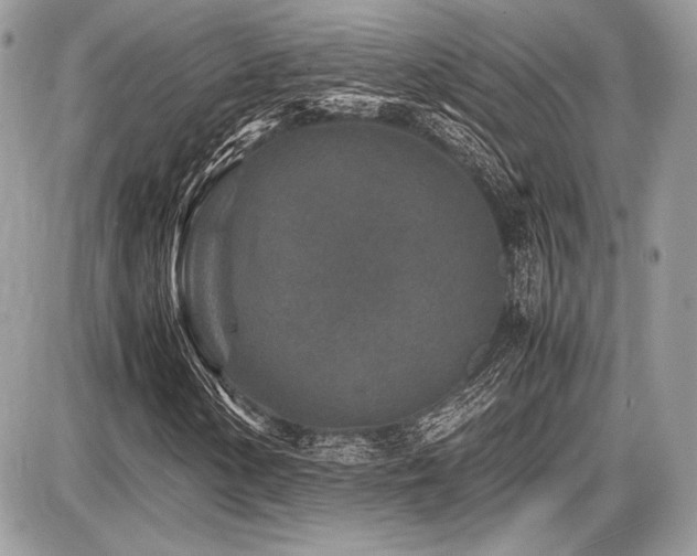 X0000087691154200705041031