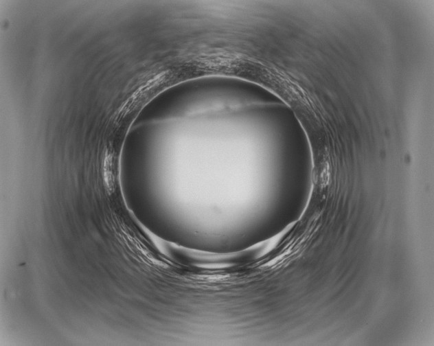 X0000087691156200705041030