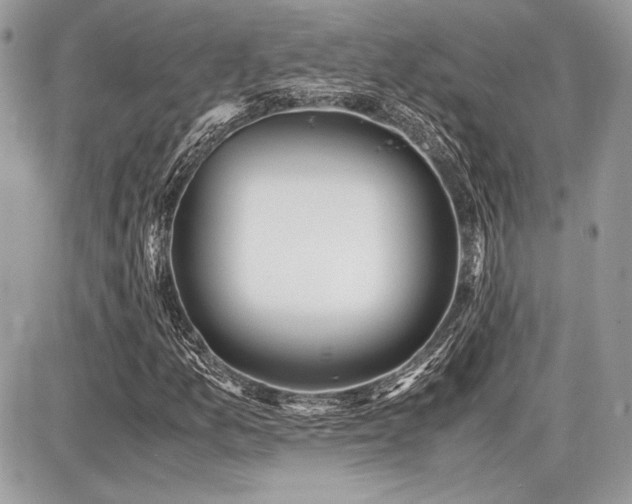 X0000087691157200705041030