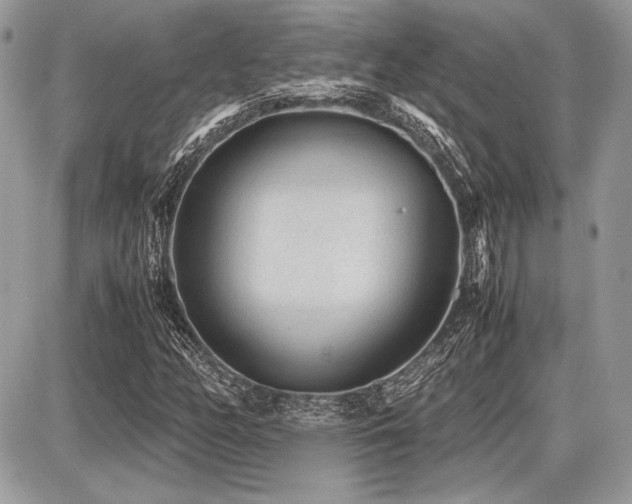 X0000087691158200705041030