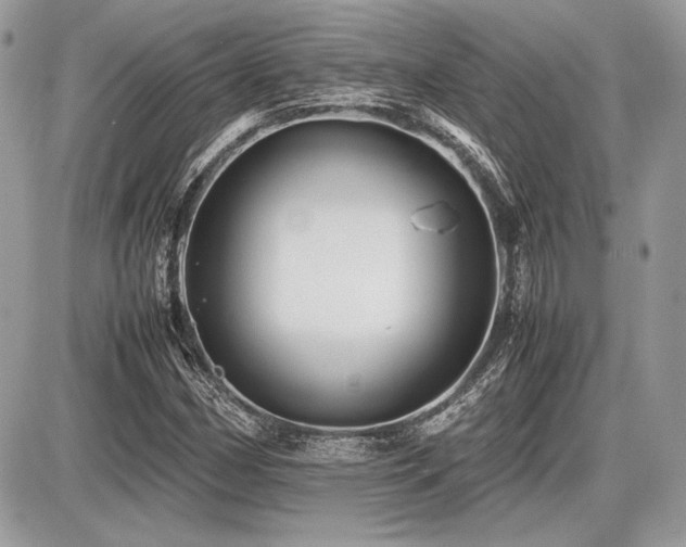 X0000087691162200705041030