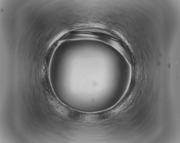 X0000087691163200705041030